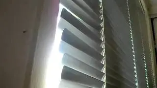 Cat reacts to owner coming home