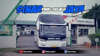 SINAR JAYA - RIBUAN BUS akan BEROPERASI KEMBALI... SUITESCLASS, LEGACY, TOURISTA,DISCOVERY SEMUA ADA