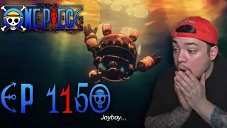 WHAT DID VEGAPUNK SAY ABOUT THE D CLAN Onepiece |EP 1150| |Reaction|