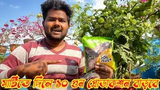 টবের মাটির জন্য সব থেকে ভালো অনুখাদ্য -Agromin Soil plus Micronutrient এর ব্যবহার | Aries Agro Ltd |