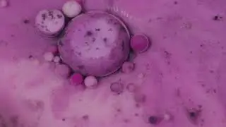 Fluid Motion: Paint, Milk, Oil, and Soap