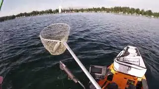Lake Goodwin Fishing - Hobie Pro Angler 14 5/25/2025