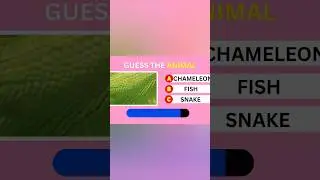 Guess the animals by its Unique Textures
