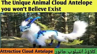 The Unique Animal Cloud Antelope you won't Believe Exist|Amazing Animal |کلاؤڈ انٹیلوپ جانور