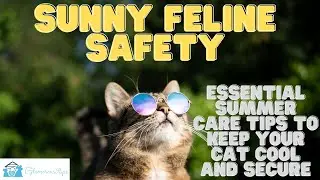 Sunny Feline Safety Essential Summer Care Tips to Keep Your Cat Cool and Secure