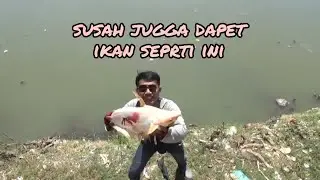 nembak ikan patin di seport terlarang