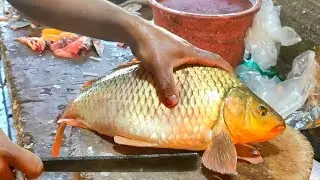 FRESH Catch Giant Carp Fish Cutting Revealed। Giant Carp Cutting Revealed।