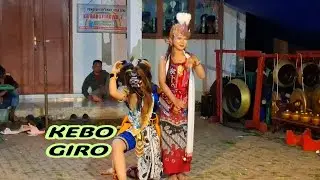 KEBO GIRO CEWEK GARAPAN ROMBONGAN CONDONG RAOS LEBAK KALIWIRO 
