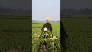 A Quiet and Calm Village Environment Showing Nature and a Bird in Flight