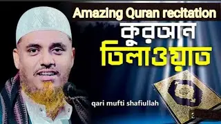 কারী সফিউল্লাহর কুরআনের সুর,যা বনজঙ্গলের পশু পাখি পর্যন্ত নিরব থাকে