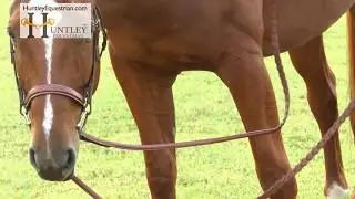 Huntley Equestrian Sedgwick Fancy Stitched Hunter Bridle and Reins