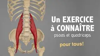Un exercice à CONNAÎTRE pour une meilleure souplesse: psoas et quadriceps... pour tous!
