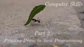 Part 2 Printing Demo in Java Programming
