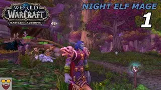 Let's Play WoW BFA - Mage Part 1: Preparing for Shadow Lands - Leveling Quickly and Enjoyably