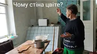Хто знає капусту АМАГЕРку? Знову оладки з фаршем!