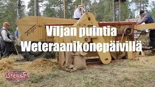 Weteraanikonep&auml;iv&auml;t 2019 Viljan puinti