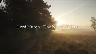 Lord Huron - The Night We Met (Cover by Danika Harrod)