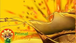 Diesel Power - Primal Sunny