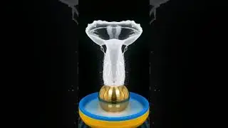 TLP - Aquatic elegance embodied, a jellyfish glides, ethereal and fluid in form #slowmotion #art