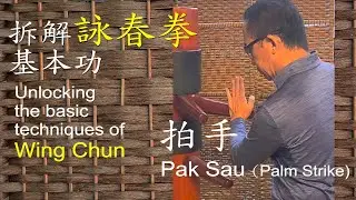 廣州詠春 拍手(拍掌)如何拍 拆解基本功 阮奇山詠春 岑能詠春 詠春拳 Guangzhou Wing Chun | Pak Sau | Palm Strike | Wing Chun basics