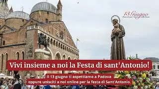 Festa di sant'Antonio 2024 - Segui la diretta della giornata