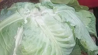 ياله متكسليش قومي نخزن الكرومب سوي 