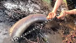 Unbelievable Fishing In Hole | Best Fishing Video Ever In Dry Place 2022