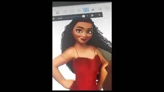Moana Transformation Process