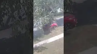 Ring doorbell captures car theft in broad daylight near Milwaukee-Wauwatosa border