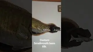 Smallmouth bass replica