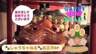 しゅうちゃんねる🐶 お正月SP🎍@岩清尾八幡宮 田村神社