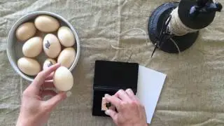 Custom Egg Stamp