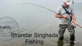 Singhada Fish Hunting Video! Catfish Fishing Video साफ पानी मे मछली कैसे पकड़े! स्पिनर फिशिंग 