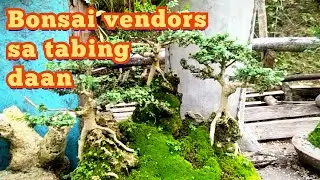 Bonsai vendors sa tabing daan