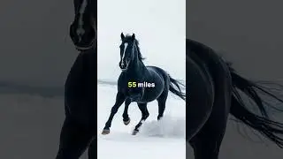 Horse Memory: Friends for Decades? #shorts #mindtwisters