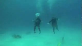 Underwater Harlem Shake
