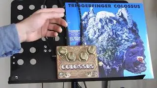 COLOSSUS PEDAL WITH A BASS REVIEW