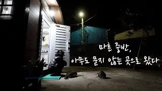 결혼하지 않은 40대ㅣ아무도 책임져주지 않는 삶ㅣ설명하지 않아도 되는 하루를 시골에서 보냅니다