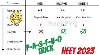 PASFUO TRICK 😱 FOR NCERT TABLE 3.1 II DIVISION OF ALGAE & CHARACTERS II NINJA TRICK 😎