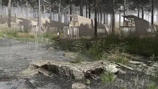 Whispers of the Creek: Reimagining the Mountain Cabin