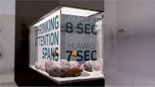 Socioconmics