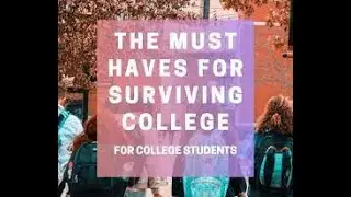 essential support systems for students during the college journey