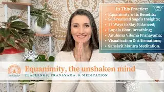 🌲 Equanimity, The Unshaken Mind Meditation