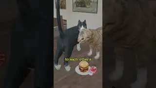 Why New Cats Instantly Hate Each Other