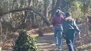 LAwithKids.com visits the Goleta Butterfly Preserves.  monarch butterflies at this free Goleta trail