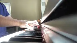 El Falco Bianco