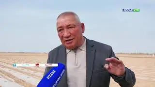 ⏺ Жиззах вилояти фермер деҳқон хўжаликлари ва томорқа ер эшалари кенгаши раиси Анорбой Эшматов