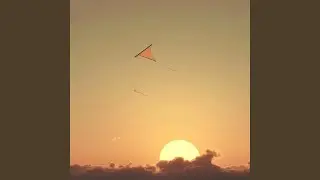Love Illusions