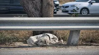 He Slept on the Edge of the Road… No One Knew If He Would Wake Up