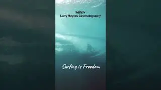 Surfing is Freedom #explore #surfing #ocean  #waves